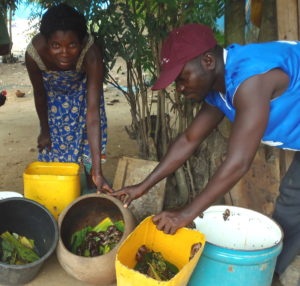 A Rocha Ghana a formé plus de 5000 personnes à de nouveaux modes de vie durables, à l’exemple de cette femme qui apprend à élever des escargots dans le cadre d’un programme de préservation des mangroves côtières.