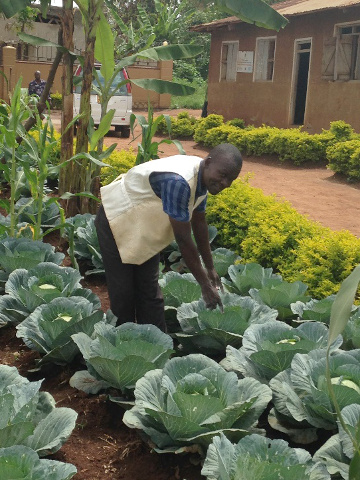 Ibrahim Sekamate shows us the vegetables