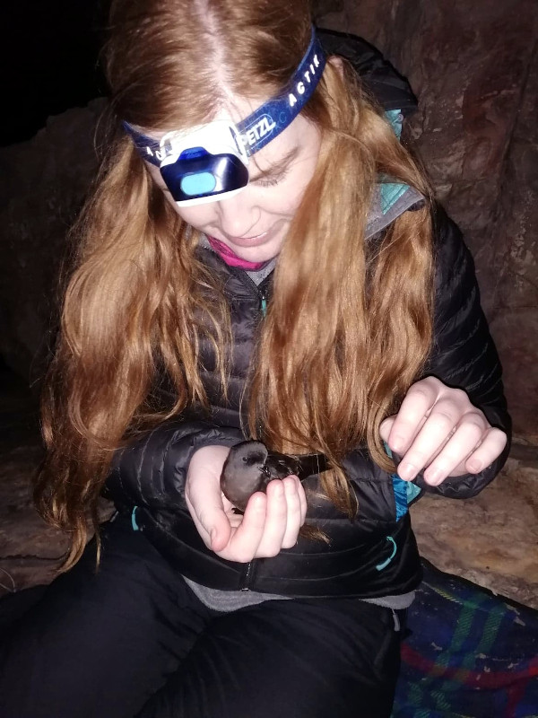 Jess Hey segurando um painho no Algarve (foto do Dr Rob Thomas)