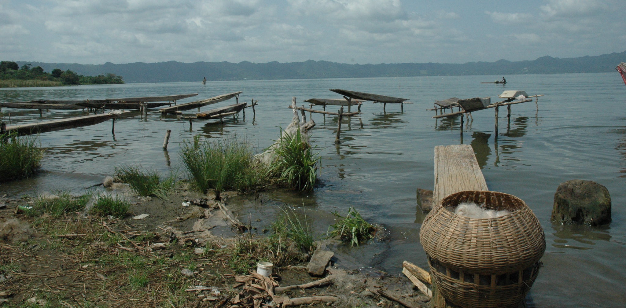Desde 2012, A Rocha Gana vem apoiando a conservação dos maravilhosos habitats úmidos e florestas do Lago Bosomtwe (foto: Chris Naylor)