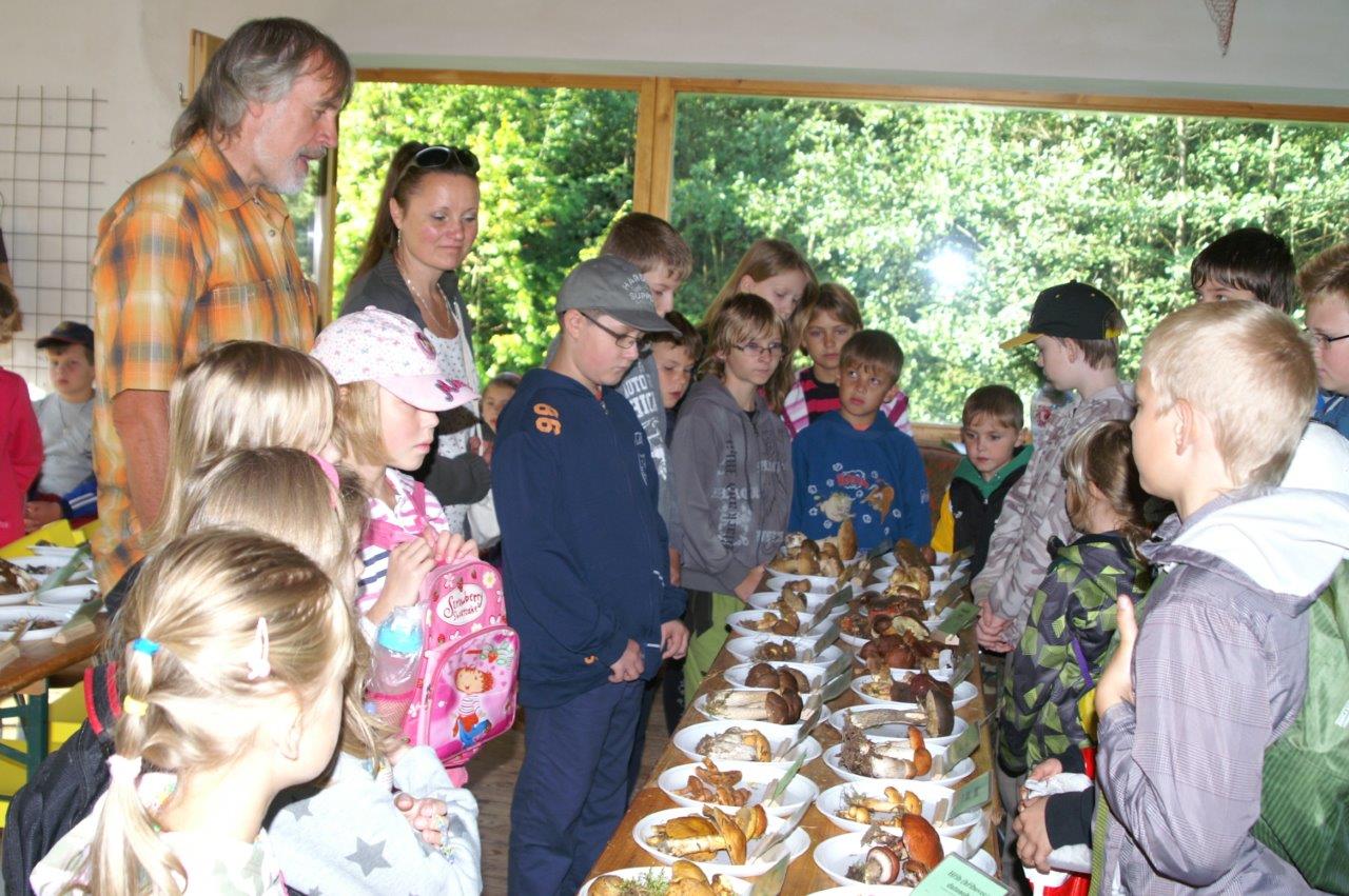 Young people learning about the importance of correct identification at an A Rocha Czech fungi exhibition, September 2014. (Pavel Svetlik)